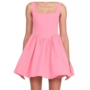Staid Pink Corset Mini Dress sz 6, NWT